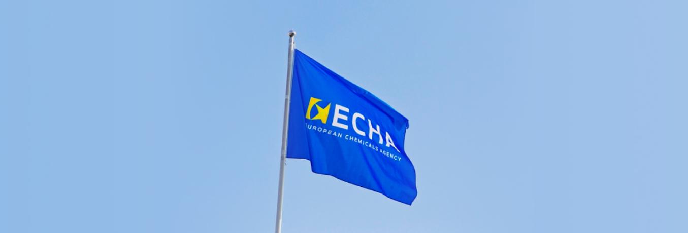 ECHA-322 Consultancy on Microsoft